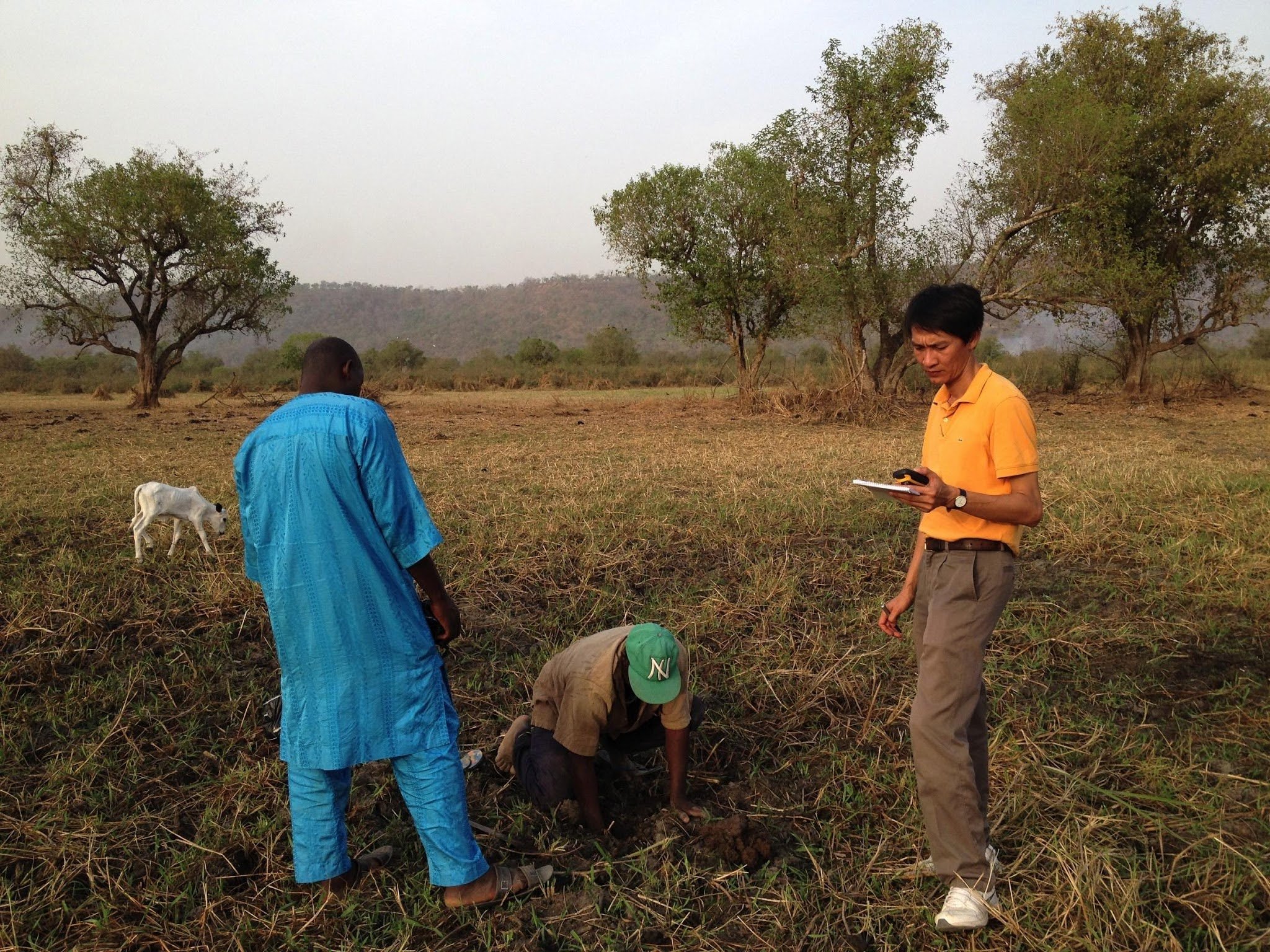 GMX_Survey Niger, Nigeria